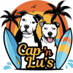 cap'n lu's logo - platinum